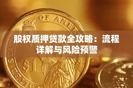 北京股权质押贷款全攻略：流程详解与风险预警