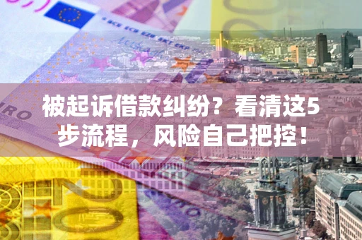 北京被起诉借款纠纷？看清这5步流程，风险自己把控！